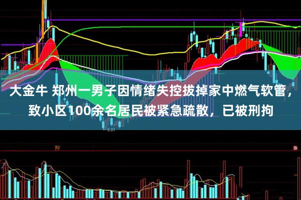 大金牛 郑州一男子因情绪失控拔掉家中燃气软管，致小区100余名居民被紧急疏散，已被刑拘