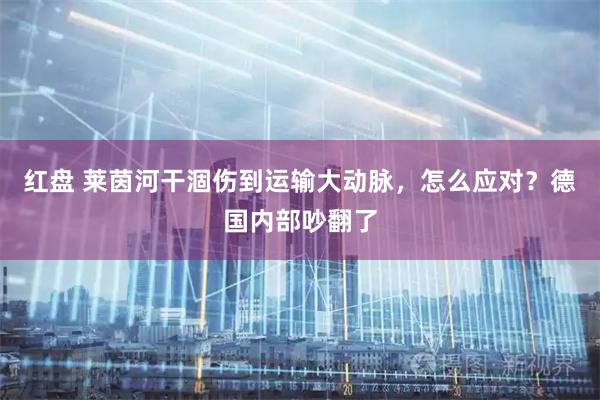 红盘 莱茵河干涸伤到运输大动脉，怎么应对？德国内部吵翻了